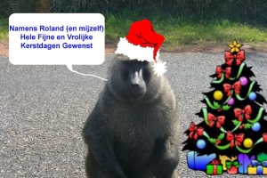 kerst.jpg