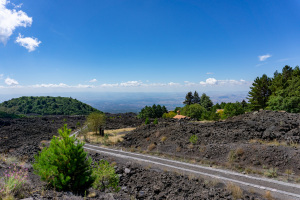 DSC01100