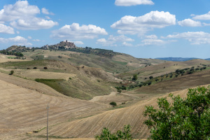 DSC01123