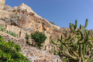 DSC01711