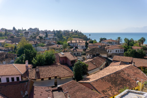 DSC02406