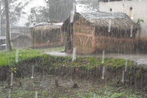 regen.jpg