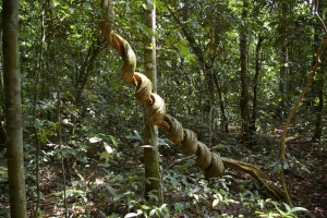 sg1l3828.jpg