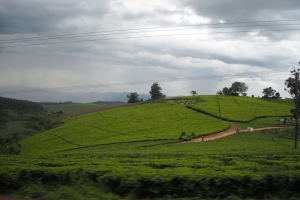 dscn0260.jpg