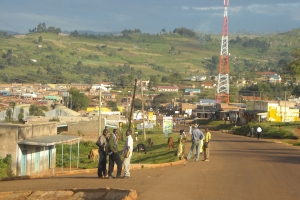 dscn0337.jpg
