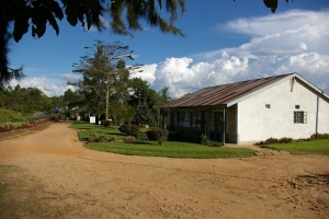 sg1l2355.jpg