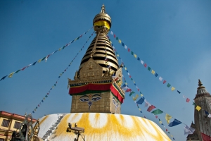 Deze ogen zien alles