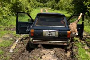 sg1l5481