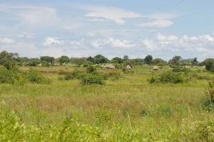 sg1l2544_0.jpg