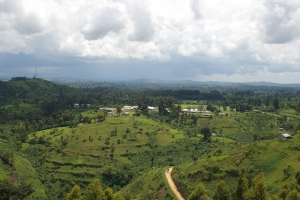 sg1l2655.jpg