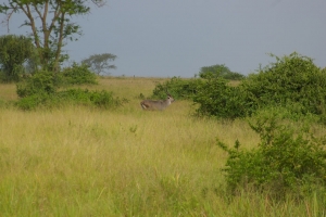 sg1l2840.jpg