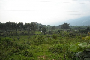 dscn0078.jpg