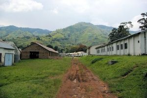 sg1l1809.jpg