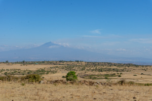 DSC01092