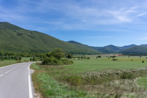 DSC01341